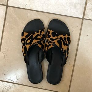 Cheetah slides